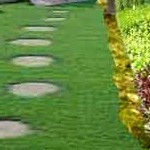 Juegos en el jard�n con ni�os
