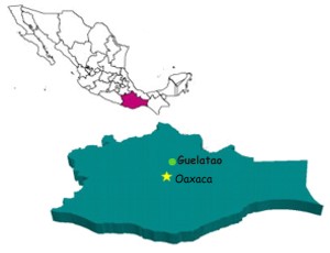 ¿Cuál es la ubicación de Guelatao de Juárez Oaxaca?