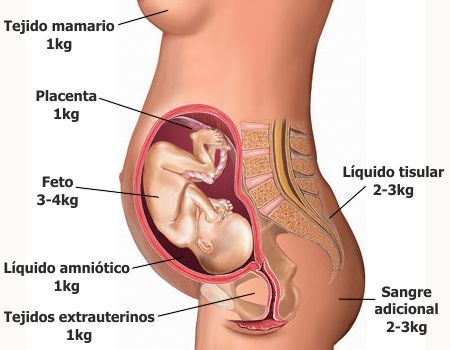 Distribución del peso adquirido durante el embarazo